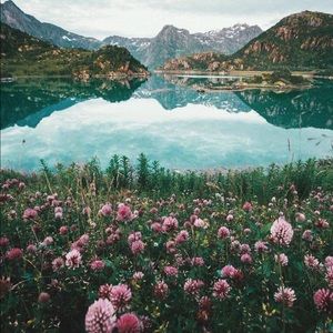 Meet your Posher, Nick